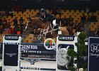 Gulliksen_Grand Balou_Verona2014_SS7_6554.jpg : FIERA CAVALLI 2014, Grand Balou 4, Gulliksen Geir, foto di Stefano Secchi ©